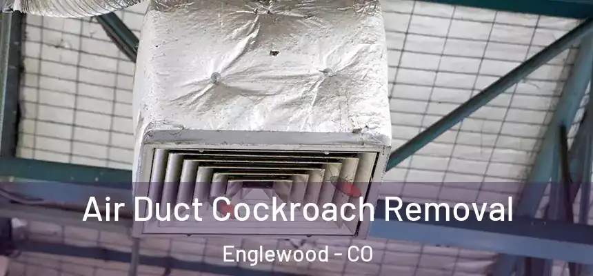  Air Duct Cockroach Removal Englewood - CO