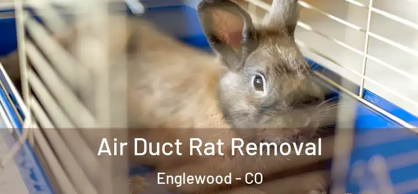  Air Duct Rat Removal Englewood - CO