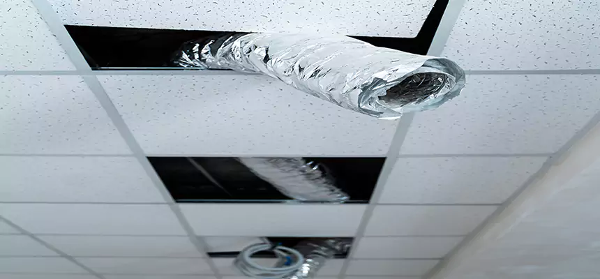 Our Air Duct Pet Hair Removal Services in Englewood, CO