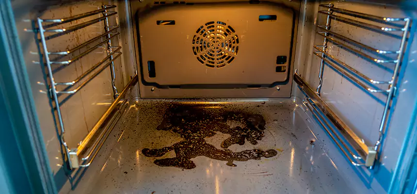 Our Dryer Vent Mold Cleaning Services in Englewood, CO