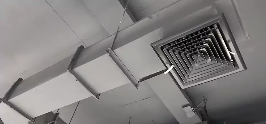 Our Pest Removal From Ducts Services in Englewood, CO