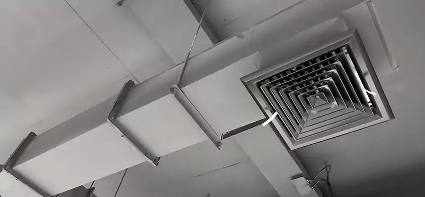 Our Rodent Droppings In Vents Services in Englewood, CO