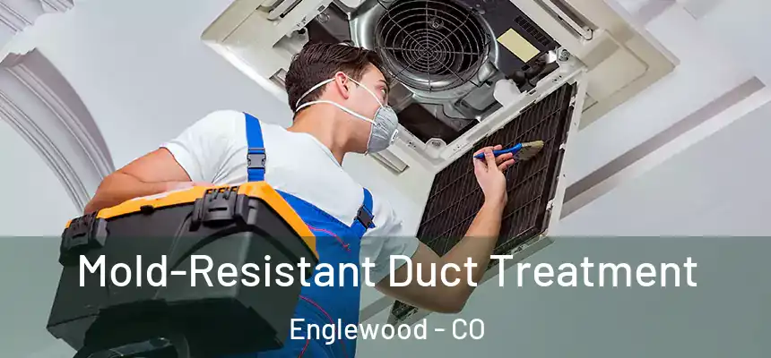  Mold-Resistant Duct Treatment Englewood - CO