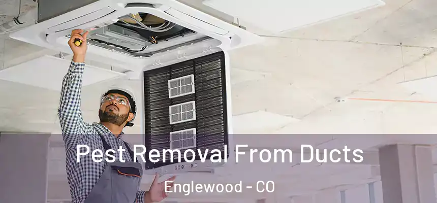  Pest Removal From Ducts Englewood - CO