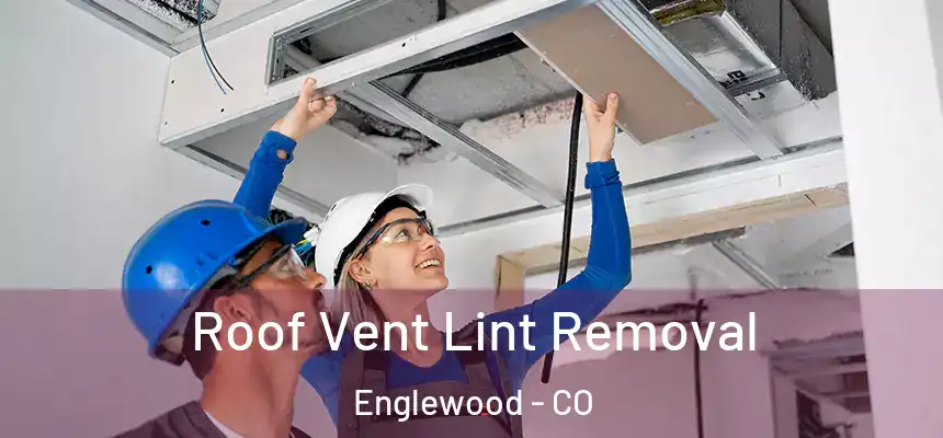 Roof Vent Lint Removal Englewood - CO