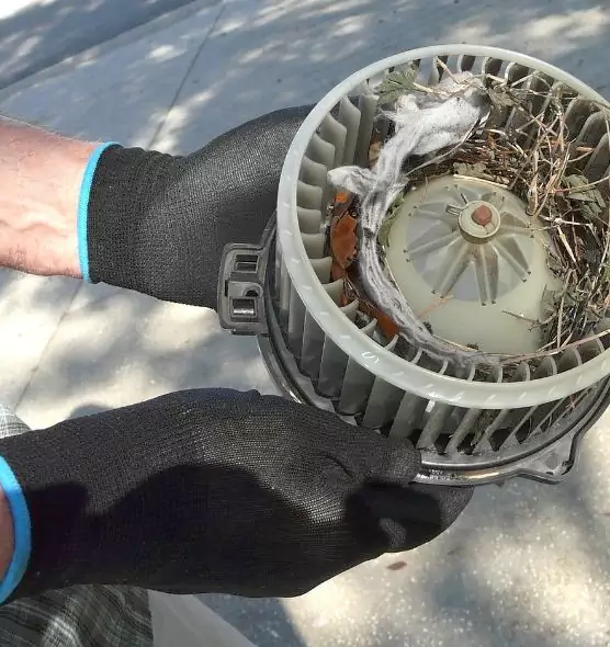 About Air Duct Rat Removal in Englewood, CO